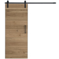 Sliding entrance barn door